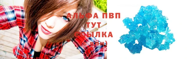 винт Инта