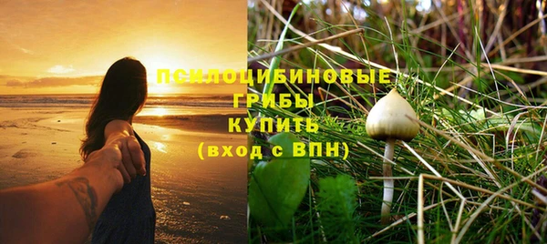 винт Инта