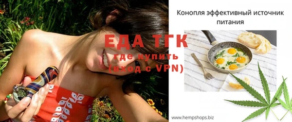 скорость Каменка