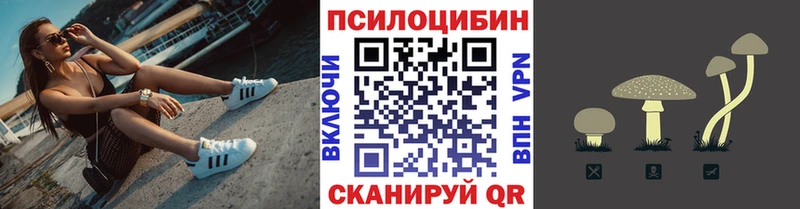 Купить где Еманжелинск Галлюциногенные грибы Cubensis